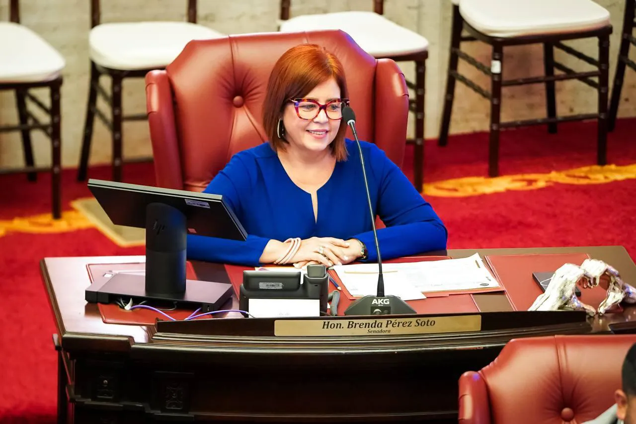 Senadora Brenda Pérez Soto